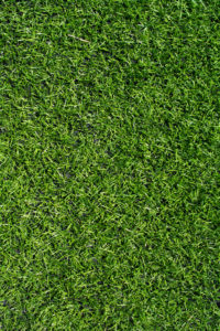  Artificial Turf for Your Residential Property: Is it the Right Choice? 