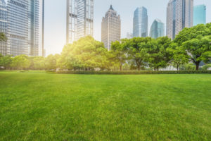 Stop Wasting Money on Commercial Lawn Upkeep: Learn How Commercial Turf May Be a Better Option