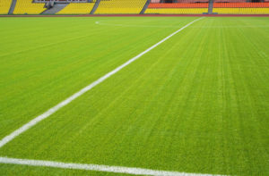 Athletic Field Turf Lets You Spend Less Time and Money on Maintenance and More Time Practicing