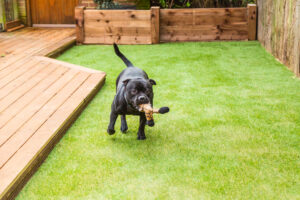 Keep the Outdoors Out by Installing Artificial Grass at Your Home