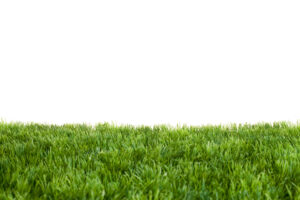 Learn Why Artificial Grass is the Perfect Choice for Your Residential Property
