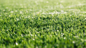 The Right Artificial Turf Could Help Prevent Injuries: Learn How and Get a Free Quote