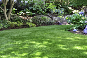 Safeguarding Your Garden: Natural Defense Against Pests